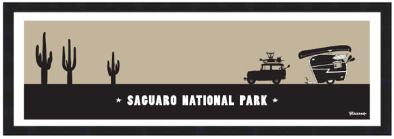 SAGUARO NATIONAL PARK ~ 8x24