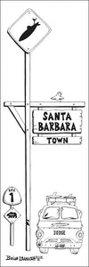 SANTA BARBARA ~ TOWN SURF XING ~ 68 DODGE REEF ~ 8x24