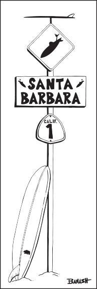 SANTA BARBARA ~ LONGBOARD ~ SURF XING ~ 8x24
