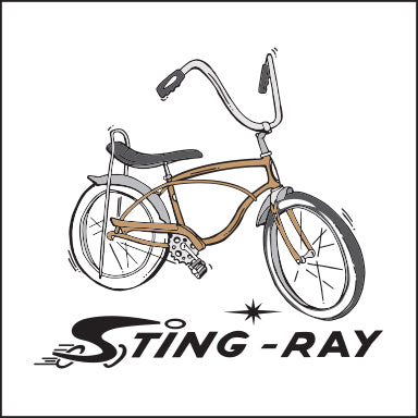 SCHWINN ~ STING RAY ~ 12x12