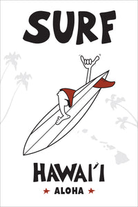 HAWAII ~ SURF ~ 12x18