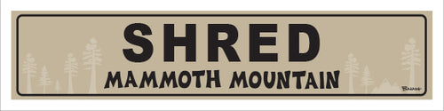 SHRED ~ MAMMOTH MOUNTAIN ~ 5x20