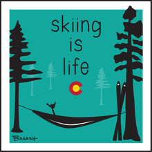 Load image into Gallery viewer, SKIING IS LIFE ~ HAMMOCK ~ CO LOGO ~ 12x12
