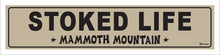 Load image into Gallery viewer, STOKED LIFE ~ MAMMOTH MOUNTAIN ~ 5x20