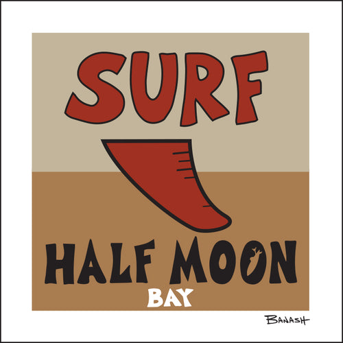 HALF MOON BAY ~ STONE GREMMY ~ SURF ~ 12x12