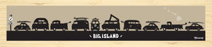 BIG ISLAND ~ SURF RIDES ~ 8x36