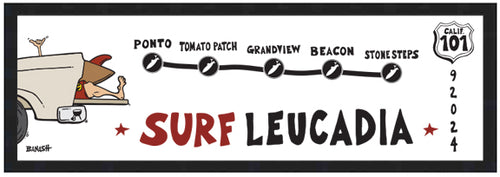 SURF LEUCADIA ~ SURF BREAKS ~ 8x24