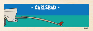 CARLSBAD ~ TAILGATE SURFBOARD ~ 8x24