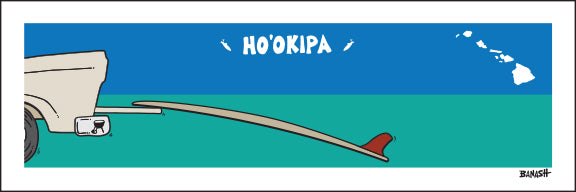 HOOKIPA ~ TAILGATE SURFBOARD ~ 8x24