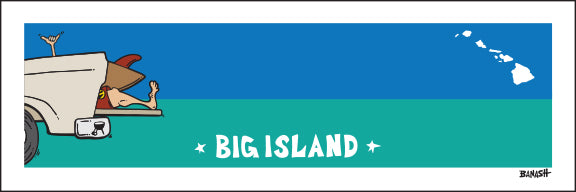 BIG ISLAND ~ TAILGATE SURF GREM ~ 8x24