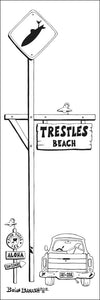 TRESTLES ~ SAN ONOFRE ~ SURF XING ~ BEACH ~ 8x24