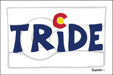 Load image into Gallery viewer, TELLURIDE ~ T RIDE ~ COLORADO LOOSE FLAG ~ GHOST ~ 12x18